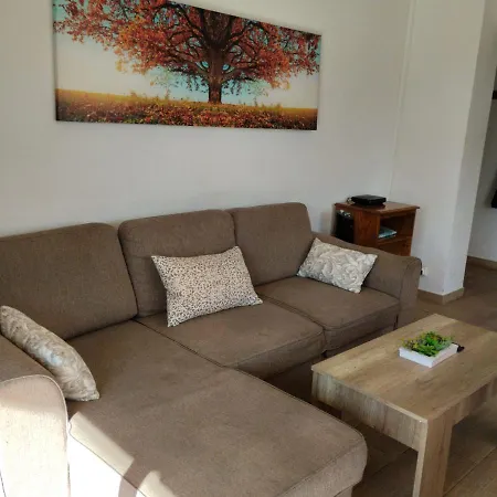 Carlos V Levante ホテル